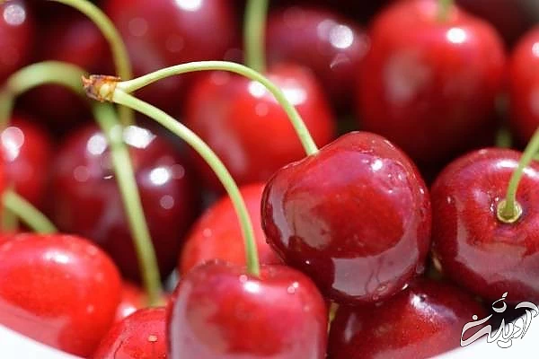 خاصیت گیلاس 